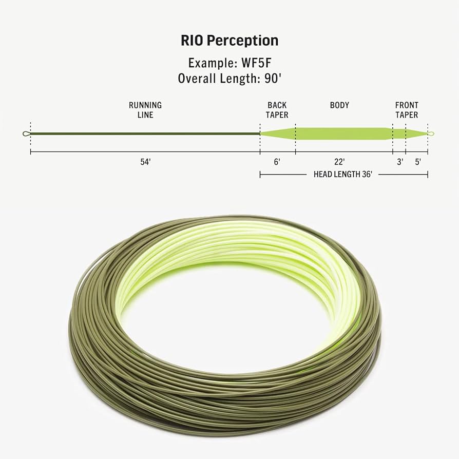 Amazon.co.jp: リオプレミア リオパーセプション WF3F